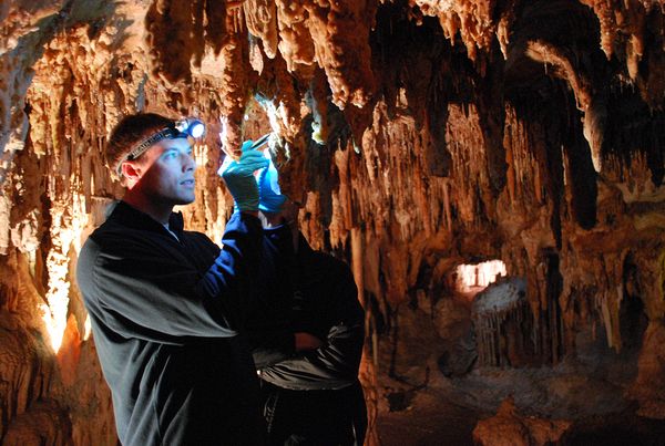 Collecting a sample off a stalactite in Lehman Caves