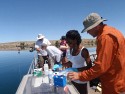 Sample and data collection on the boat