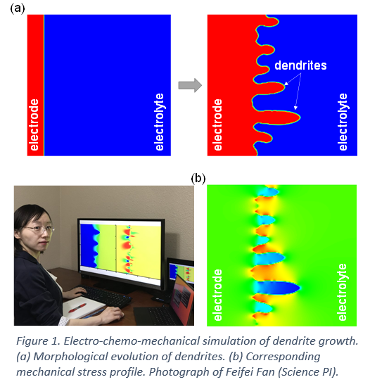 Figure 1, Electro-chemo-mechanical simulation of dendrite growth. (a) Morphological evolution of dendrites. (b) Corresponding mechanical stress profile. (c) Photograph of Feifei Fan